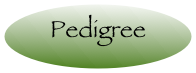 Pedigree