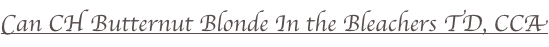 shapeimage_3_link_0